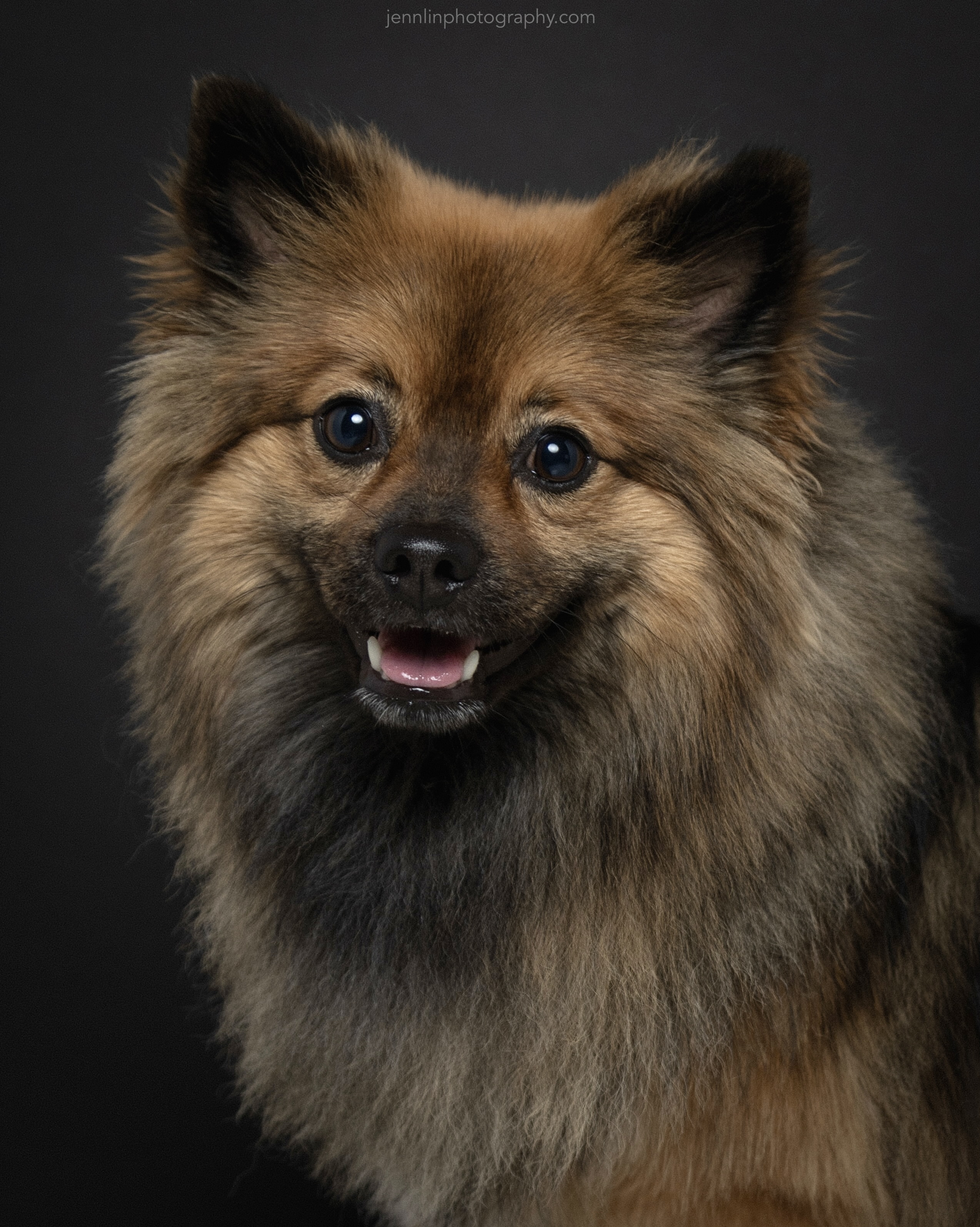 Duke's little smile. A photo from our recent at-home photo session. © 2024 Jenn Lin